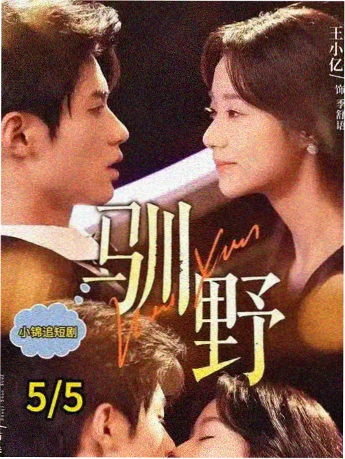 摄影指导访谈配图